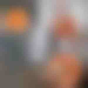 360 laipsnių kampu besisukanti reguliuojama valomoji saulėgrąžos formos šluostė | CORALMOP