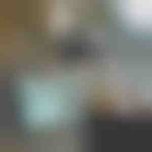 Daugiafunkcinis vežimėlis | CARRYMAX