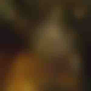 Žvaigždės formos lempučių girlianda (6 m) | STARYGLOW