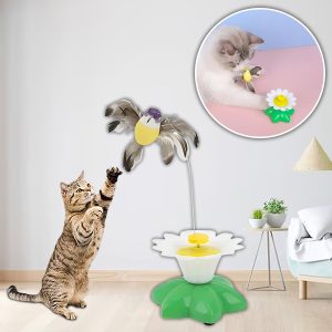 Elektrinis paukščio žaislas katėms | BIRDIETOY