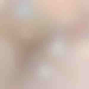 2in1 belaidis dulkių siurblys | VACUSTICK