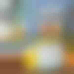 Vaisių sulčiaspaudė | VITAPRESS