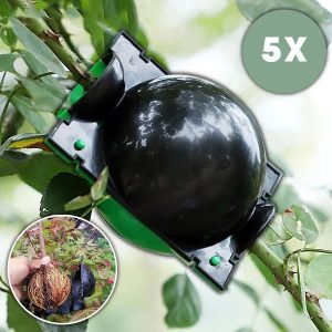 Sveikų šaknų dauginimo dėžutė (5 vienetai) | ROOTY