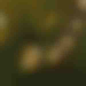 G40 rutulinės girliandos - 25 lemputės, 7,5 m, plečiamos | YARDBULBS