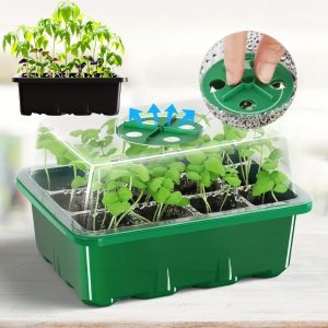 Daigų auginimo padėklas su skyriais | PLANTURKA