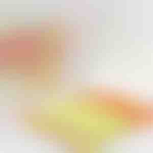 Langų valiklis, kuris sutrumpina valymo laiką perpus | BLINDY