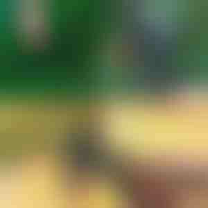 Profesionalios 2-in-1 Genėjimo ir Skiepijimo Žirklės | MASTERCUT