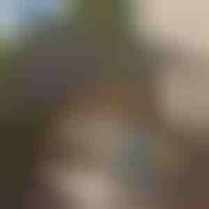 Trikampio formos tentas | SHADI