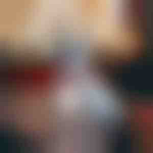 Šventinis apykaklės antkaklis šunims su snaigėmis | DOGICOLLAR