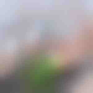 Pažangus anglies čiaupo filtras | CHARFILTER