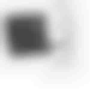 24 viename magnetinių atsuktuvų rinkinys | MAGNESCREW