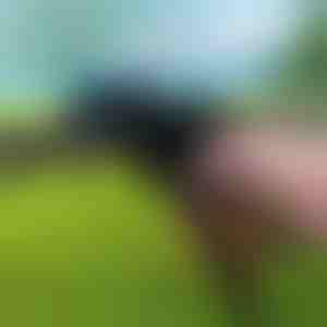 Tvirto naudojimo kabelių surišimo įrankis | ZIPFLEX